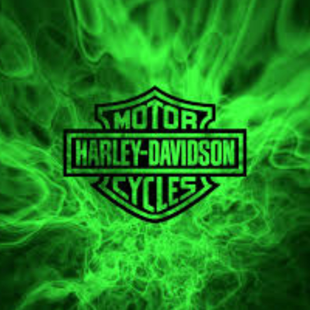 HARLEY-DAVIDSON GEAR